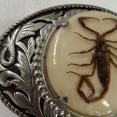 Men&rsquo;s Western Oval Scorpion Engraved Metal Belt Buckle Fits 1.5 in Belt