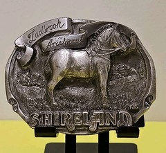 Vintage 1988 Shireland Park Horse Belt Buckle First Edition