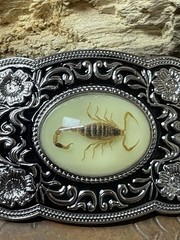 Scorpion Xmas WESTERN SILVER BELT ADJUSTABLE BUCKLE MEN WOMEN UNIQUE VALENTINE