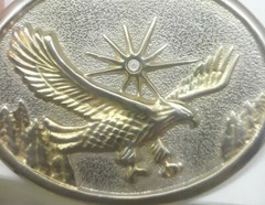 Eagle Belt Buckle 70s Gold Western Bird Wings Bird Cowboy Hawk Oval