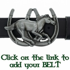 Horseshoe & Horse Lucky Belt Buckle Western Cowboy Equestrian Stallion