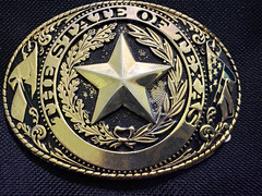 Texas Western State Oval Belt Buckle Star Accent Gold/Silver Metal 1.75in