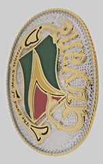 Guyana Georgetown Guyananian Flag Caribbean Belt Buckle Nation Gold Silver Metal
