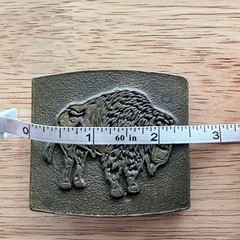 Vintage buffalo belt buckle metal brass tone 2.5×2.25 inches