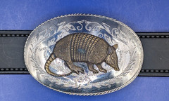 Unique Vintage Armadillo Belt Buckle **RARE**