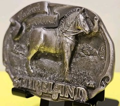Vintage 1988 Shireland Park Horse Belt Buckle First Edition