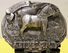 Vintage 1988 Shireland Park Horse Belt Buckle First Edition