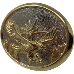 VTG Soaring Bald Eagle Sun Brass Belt Buckle Flying