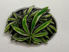 Marijuana Cannabis Pot Leaf Weed Enameled 3D Dimensional Layered Belt Buckle