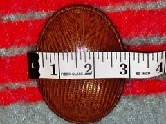 Genuine Lizard Skin Exotic Leather Buckle by Xolcaco Made in USA