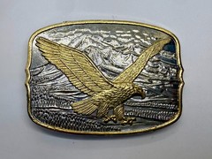 Flying Eagle Spreading Wings over the Mountain Scene Vintage Belt Buckle