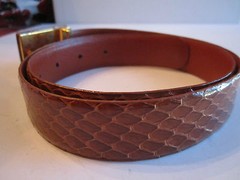 JEAN ROBERTS DESIGNS BROWN SNAKESKIN BELT D. RED STONE? BUCKLE -37&Prime; L END TO END
