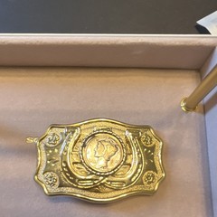 Men&rsquo;s Gold Tone Western Belt Buckle Metal Horseshoe & Coin Design