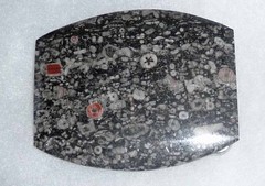 Handcrafted, Jasper, Agate Gemstone Belt Buckle polished natural stone- Pick 1