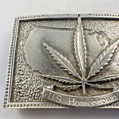 US Homegrown Silver Belt Buckle Square Outlaw Country Men Marijuana Hall of Fame