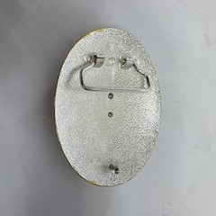 Money sign belt buckle