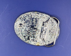 Small Rattlesnake Skin Belt Buckle with Epoxy Overlay made in USA