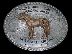 TD09163 2005 **HAROLD TIBBS MEMORIAL AWARD** RODEO WESTERN & COWBOY BELT BUCKLE
