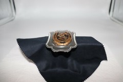 Horse in a Horseshoe Belt Buckle