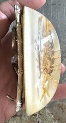 Real Scorpion In Clear Resin Arizona Belt Buckle