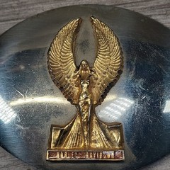 Vtg Harley-Davidson Woman With Wings 1982 Belt Buckle Silver/gold Tone