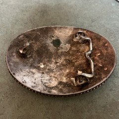 Montana Silversmiths Buffalo Bull Skull Belt Buckle Silver Cowboy Western Rodeo