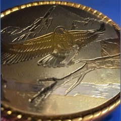 VTG Bald Eagle Mountain Scene Belt Buckle USA Western Gold Trim Wesco/Walsco