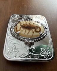 Real SCORPION Buckle Belt 1.5” Silver Metal Cowboy Western 3.25” Floral