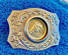 WESTERN BELT BUCKLE Silver Metal HORSE OR COIN MEN S ACCESSORIES CLASSIC LOOK