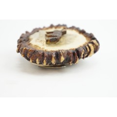 Vintage Handmade Elk Antler Burr Belt Buckle Brown Carved Wolf Wildlife EUC