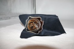 Horse in a Horseshoe Belt Buckle