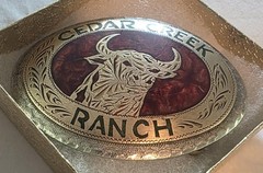Vintage Metal Belt Buckle, Brass and Silver, Bull, Steer, Cedar Creek Ranch