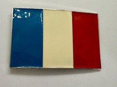 Flag of France French Country Blue White Red Enamel Patriotic Belt Buckle