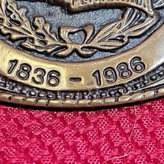 3.5&Prime; TEXAS SESQUICENTENNIAL BELT BUCKLE Numbered VINTAGE 1986 Brass metal Texoma