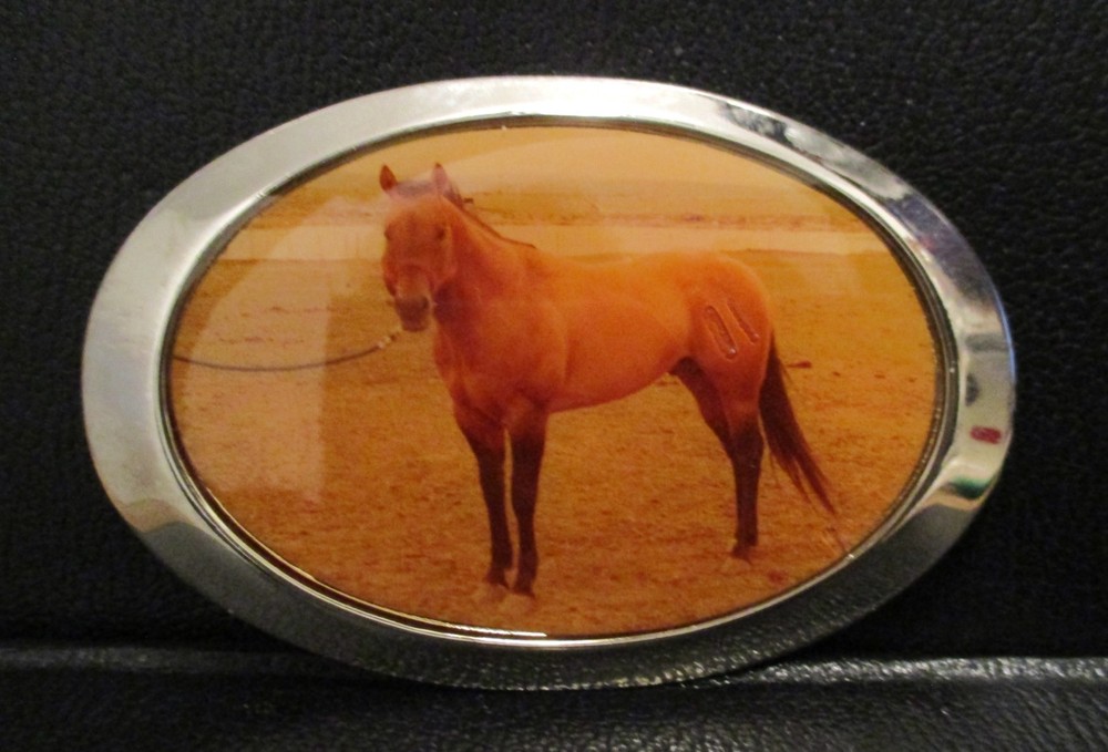 Vintage Western Style Buckskin Horse Metal & Celluloid Belt Buckle