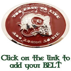 Too Fast To Live Too Young To Die Belt Buckle Outlaw Enamel Biker Skull Metal