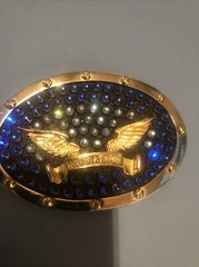 Robins jeans belt buckle