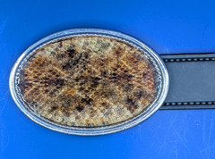 Rattlesnake Skin Belt Buckle with Epoxy Overlay made in USA