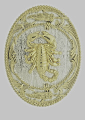 Scorpion Belt Buckle New Men Women Gold Silver Metal Zodiac Western Cowboy Rodeo