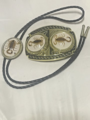 Gold tone Scorpion Belt Buckle and Bolo Set