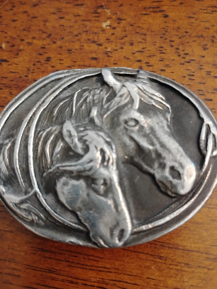 Siskiyou Beltbuckle Two horses Framed By Lasso