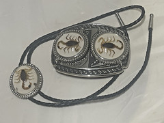 Silver tone Scorpion Belt Buckle and Bolo Set