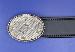 Small Rattlesnake Skin Belt Buckle with Epoxy Overlay USA made fits 1-1/4&Prime; Belt