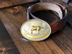 Large Oval FFA or 4-H Belt Buckle 3D Stock Show Dairy Cow (GREAT GIFT IDEA!!!)