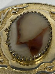 Gold Tone Western Belt Buckle w/Genuine Brazilian Agate Gemstone Stone (D)