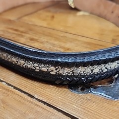 Scorpion Buckle Western Cowboy Style Hebilla Alacrán Vntg Silverplated