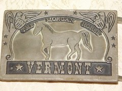 VINTAGE 3 1/2&Prime; WIDE VERMONT THE MORGAN HORSE PEWTER BELT BUCKLE