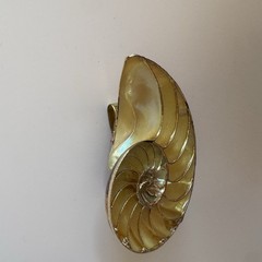 Vintage Nautilus Shell Belt Buckle Brown Gold Tone Coastal Beach
