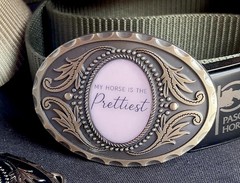 Equestrian Pink Horse Belt Buckle My Horse Is Prettiest Western Resin Metal