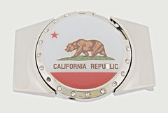 Vintage State California W Bear Logo Belt Buckle (with Lighter) Hidden Men Women